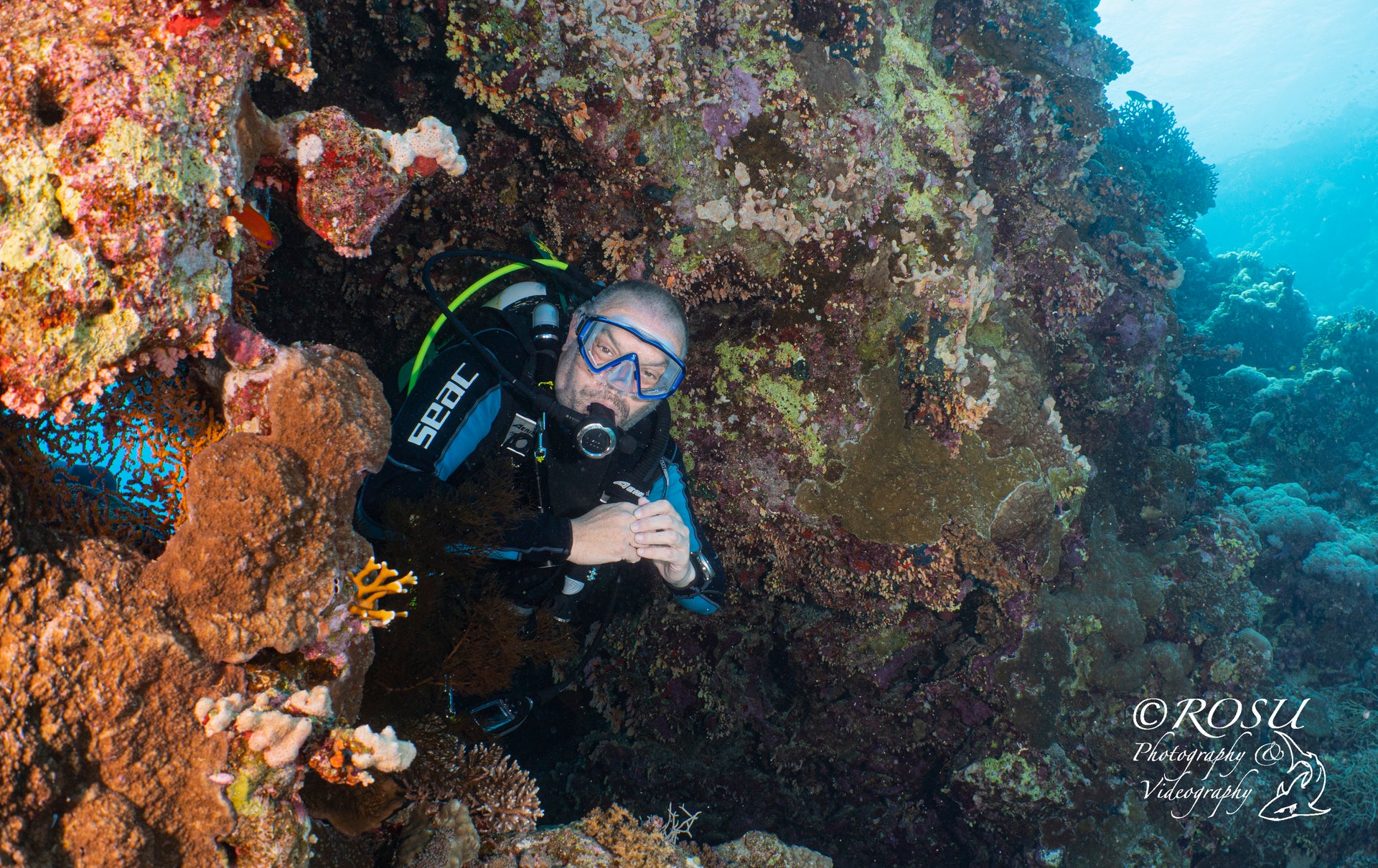 What Dream Divers are all about!