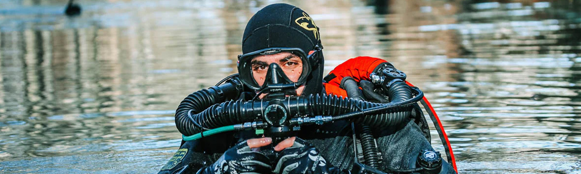 Divesoft