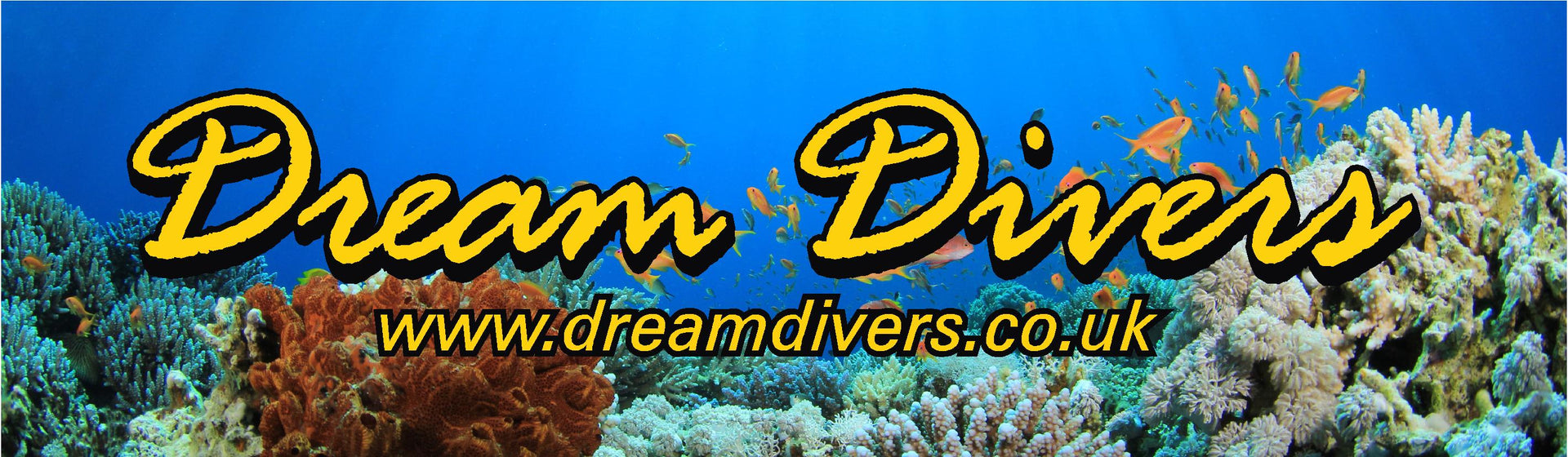Dream Divers