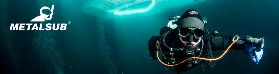 Metalsub