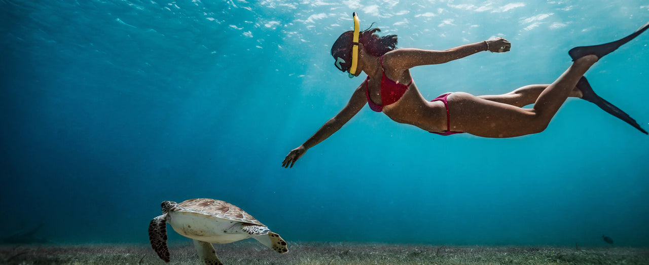 PADI Discover Snorkelling