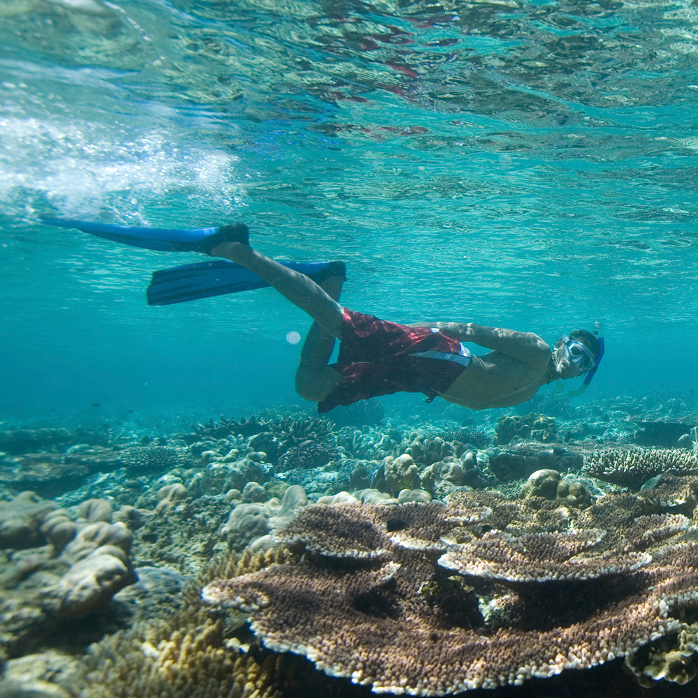 PADI Discover Snorkelling | Dream Divers