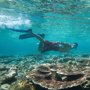 PADI Discover Snorkelling | Dream Divers