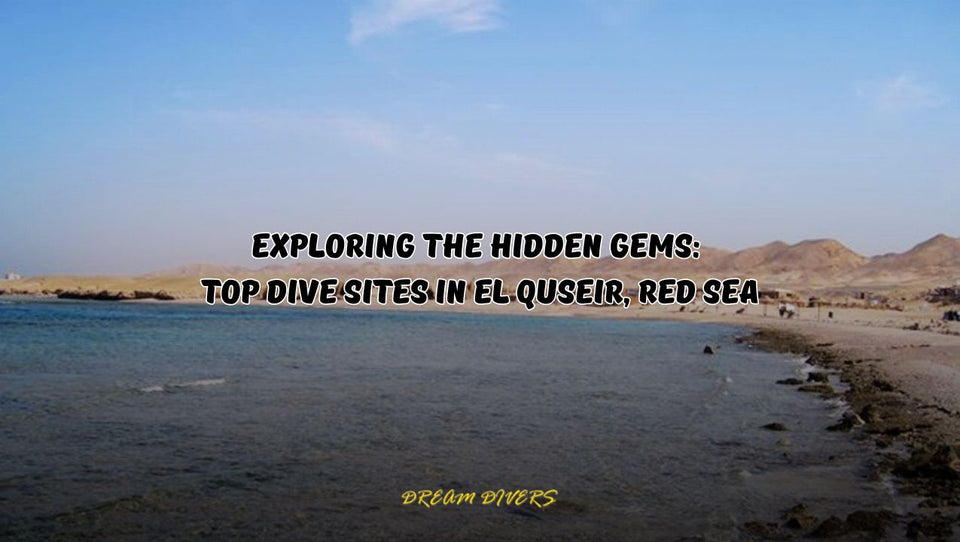 Exploring the Hidden Gems: Top Dive Sites in El Quseir, Red Sea