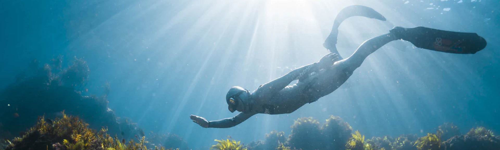 PADI Freediving Courses at Dream Divers