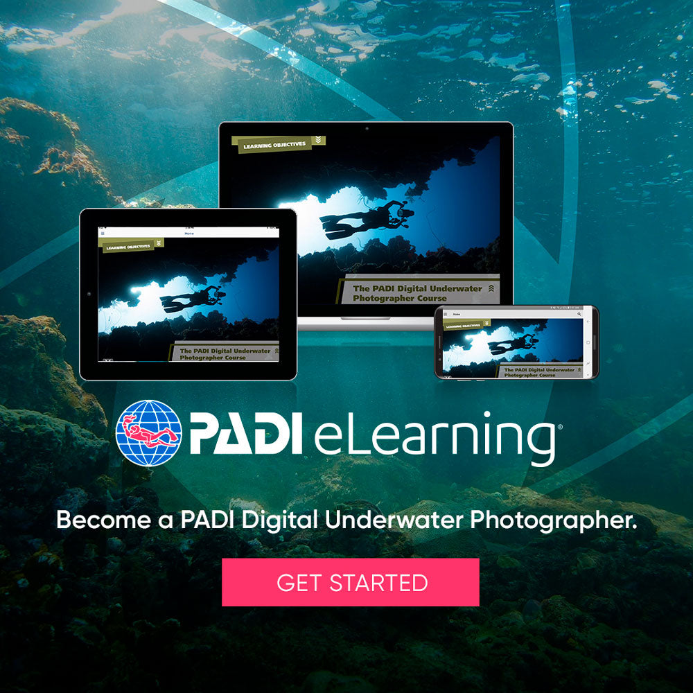 PADI Digital Underwater Photography Diver eLearning