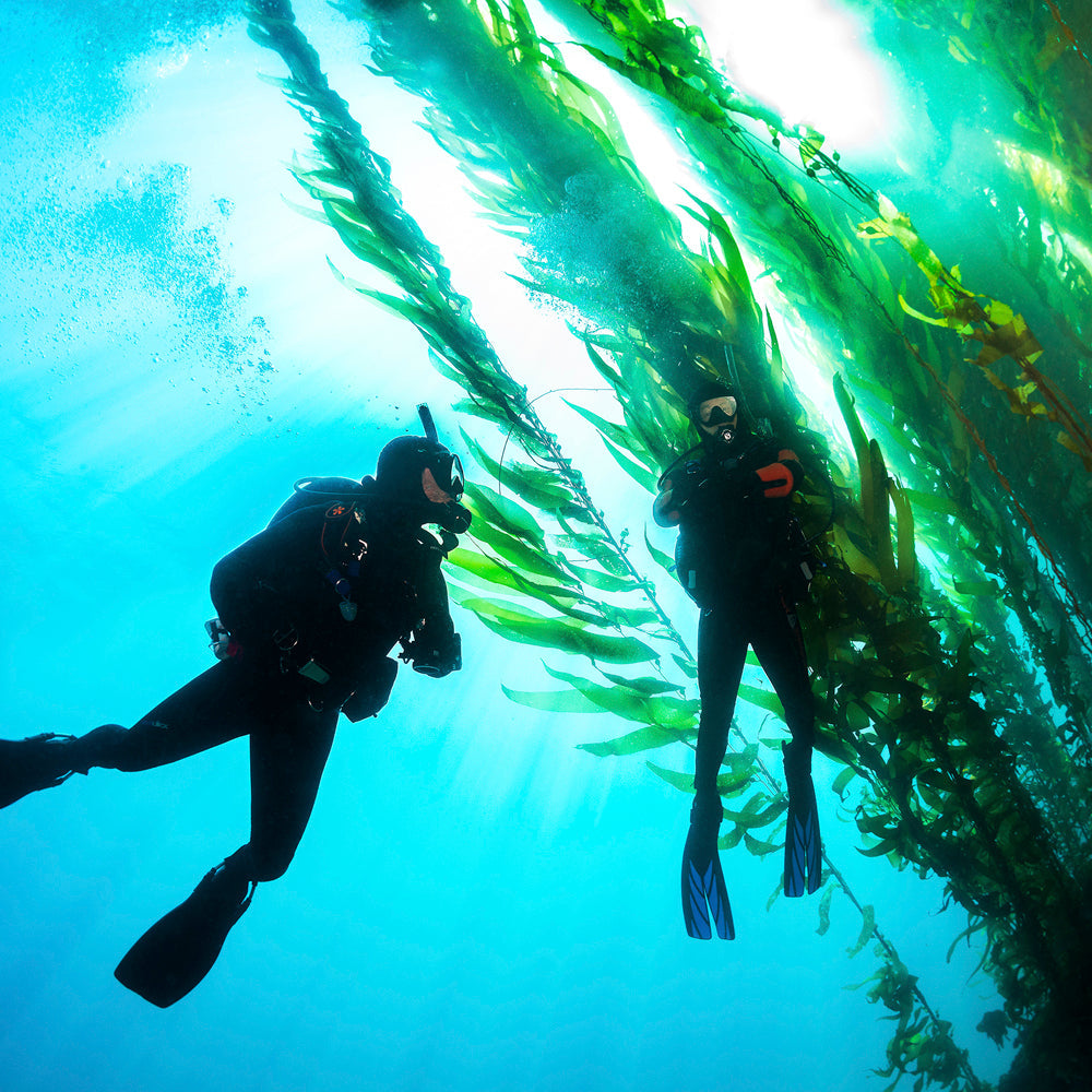 PADI Advanced Open Water | Dream Divers