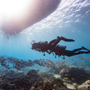 PADI Master Scuba Diver | Dream Divers