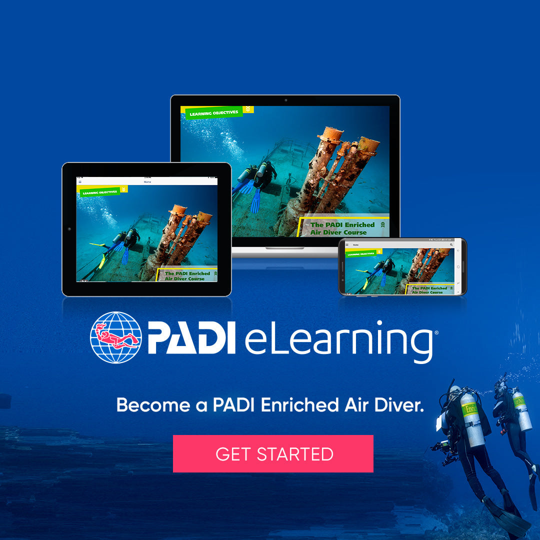 PADI Nitrox Diver eLearning | Dream Divers